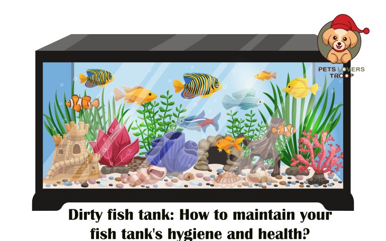 dirty fish tank