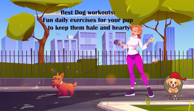 Dog workouts