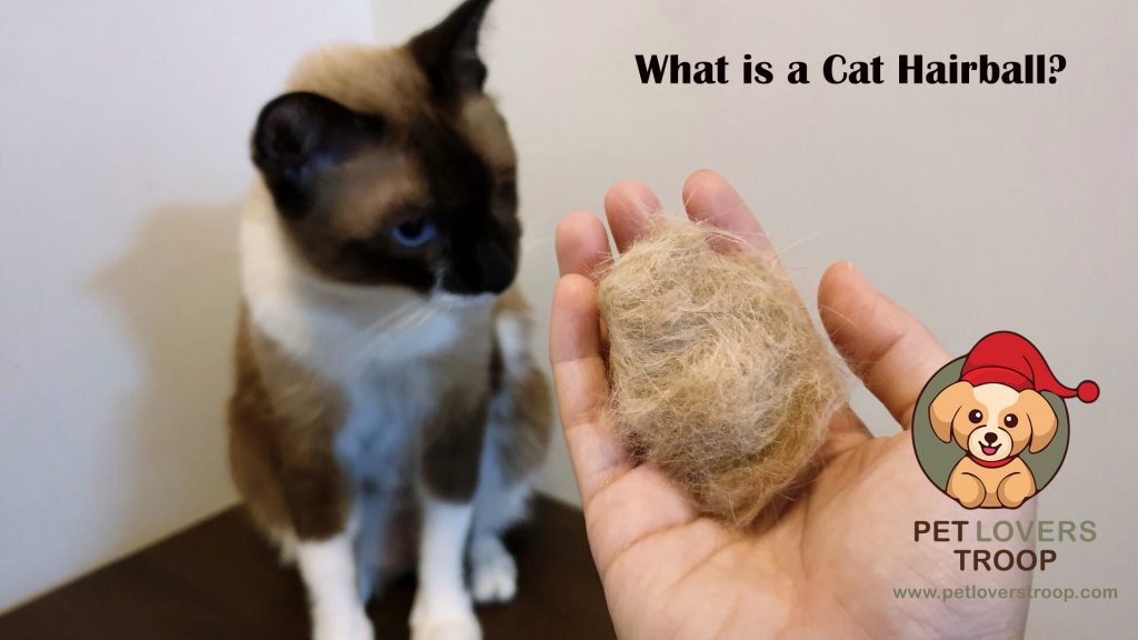 what is cat hairball