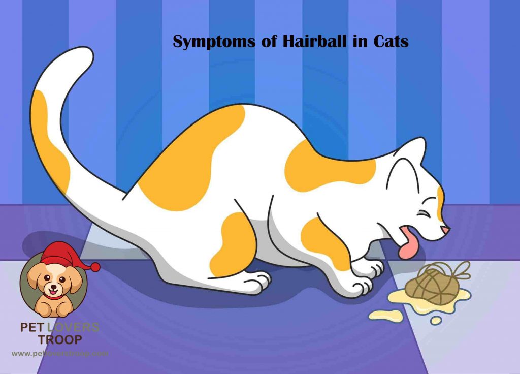 symptoms of cat hairballs