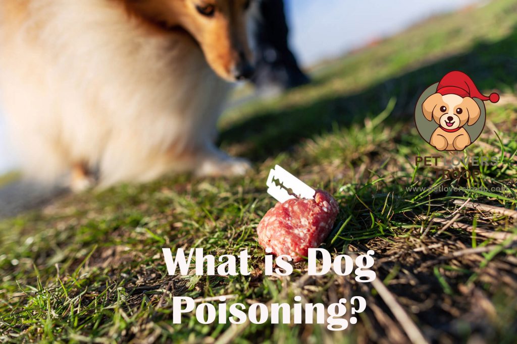 what is dog poisoning