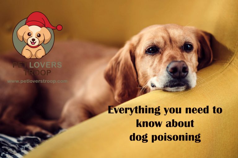 dog poisoning