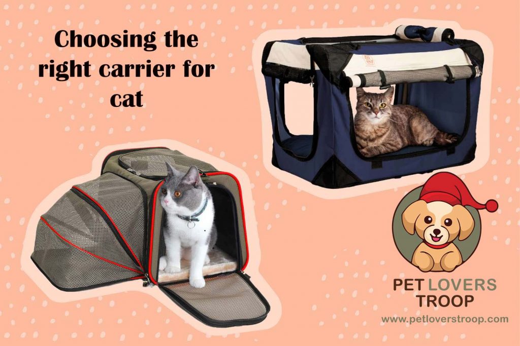 Cat traveling carrier
