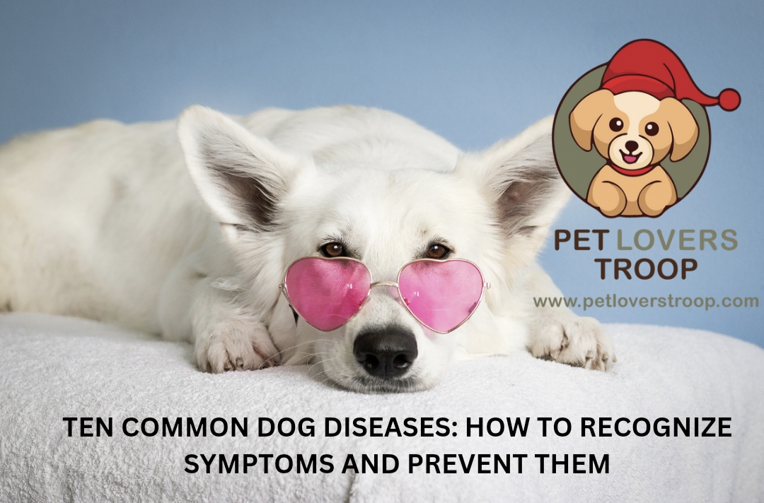 Latest Top 10 Common Dog Diseases Symptoms and Treatment