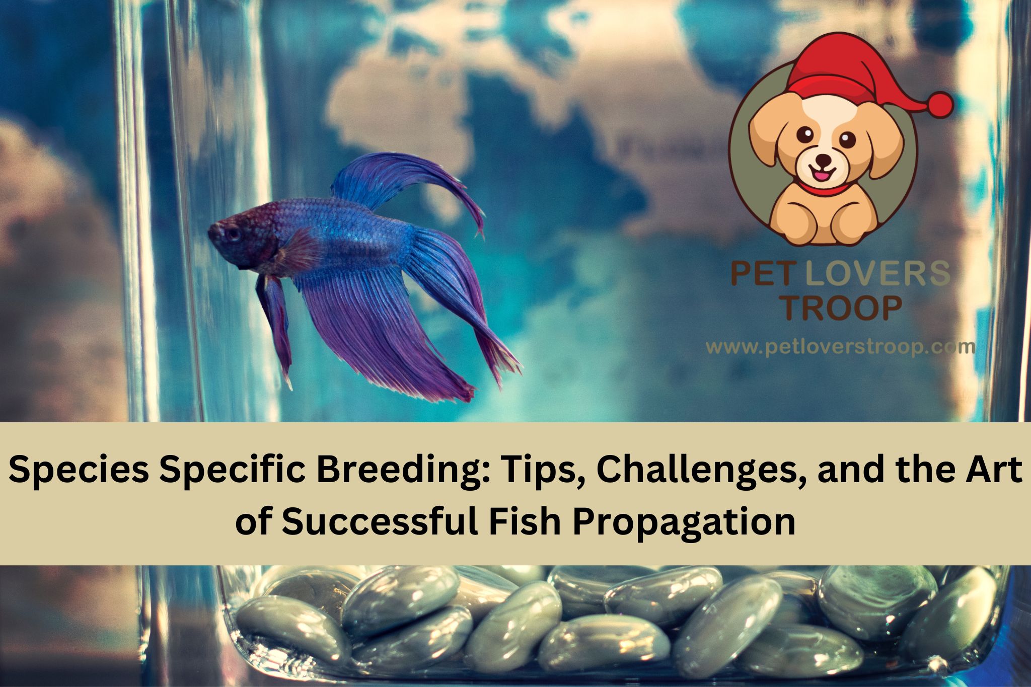 species-specific-fish-breeding-tips-challenges-and-the-art-of