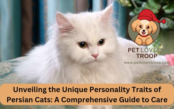 persian cat traits