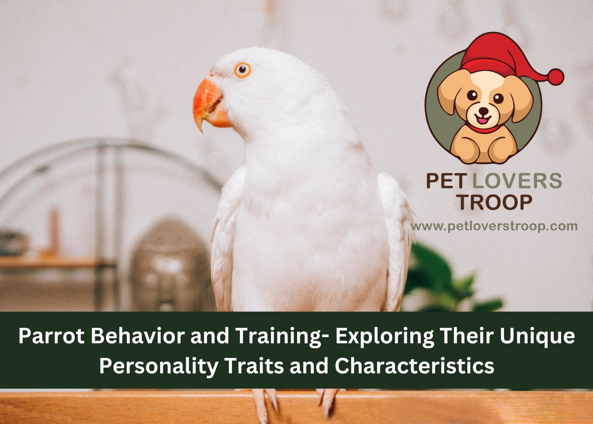 Parrot Behavior and Training - Exploring their Unique Personality ...