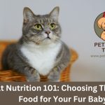 cat food guide