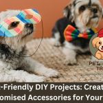 Pet-friendly DIY projects