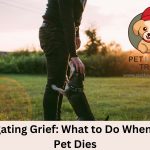 What to Do When Your Pet Dies