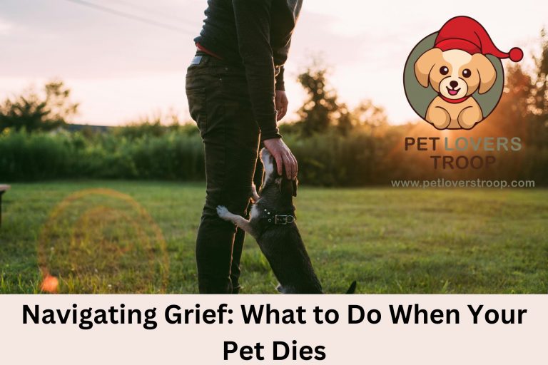 What to Do When Your Pet Dies