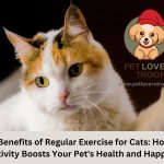 The Benefits of Regular Exercise for cats