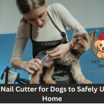 Best Nail Cutter for Dogs to Safely Use at Home