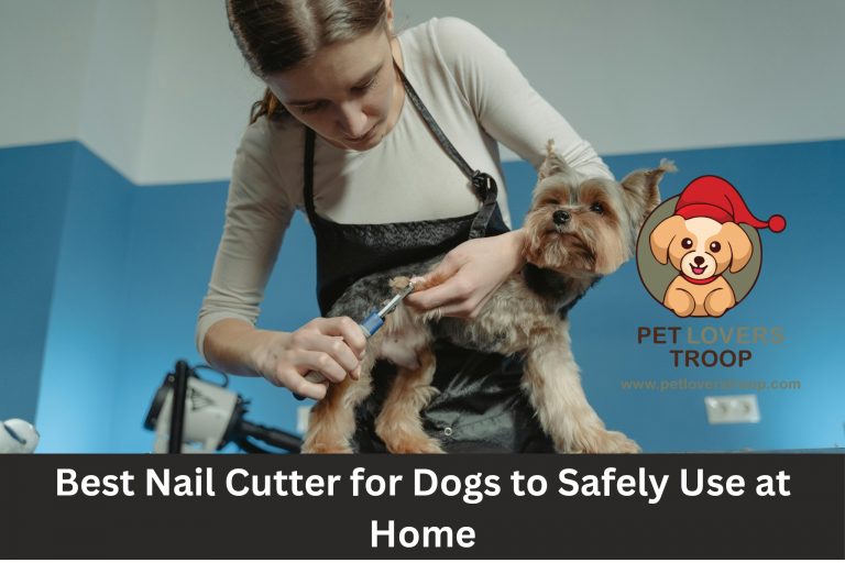 Best Nail Cutter for Dogs to Safely Use at Home