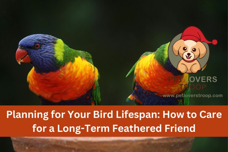 bird lifespan