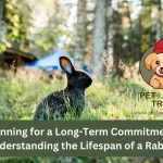 Understanding the Lifespan of a Rabbit