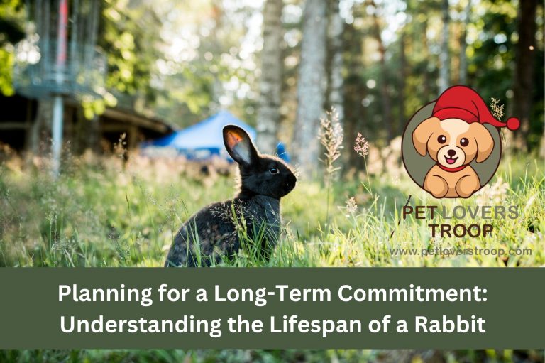 Understanding the Lifespan of a Rabbit