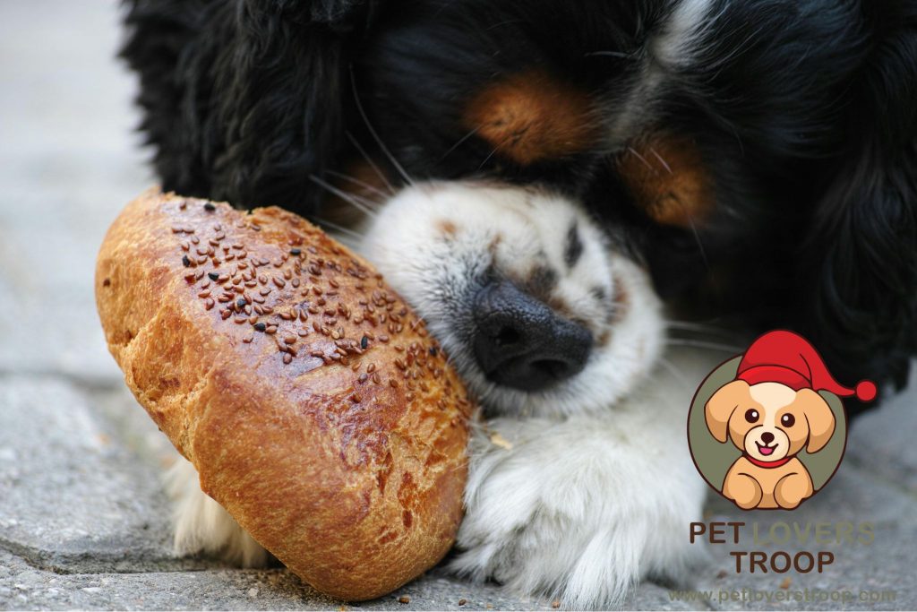 dog feeding guidelines