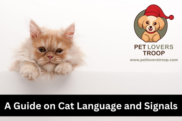 cat language