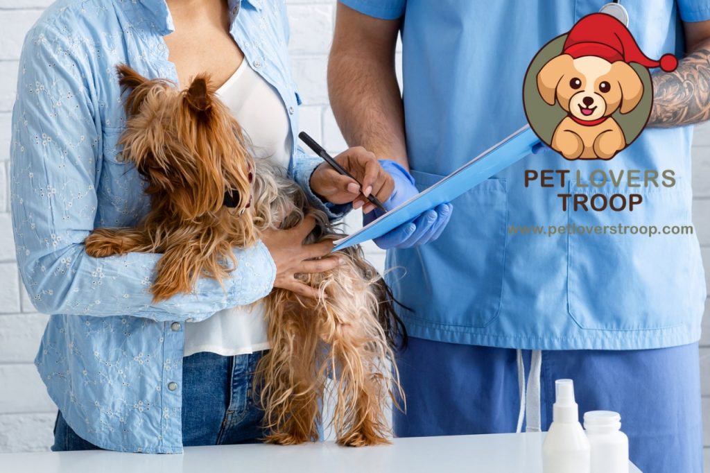 Pet health insurance 