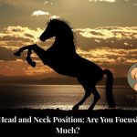 Horse head and neck position
