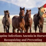 equine infectious anemia in horses
