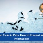 fleas and ticks in pets