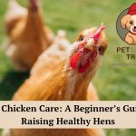 Basic chicken care