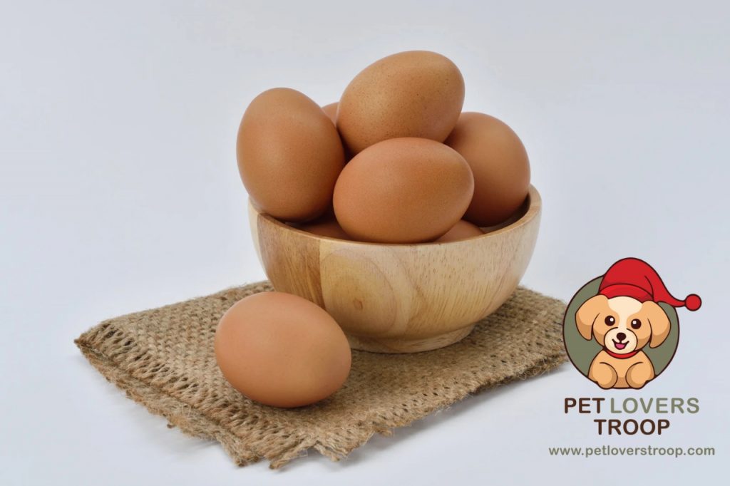 Chicken product recalls