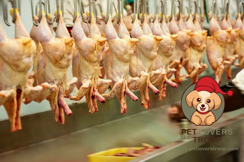 Recent food safety alerts