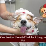 daily dog care routine