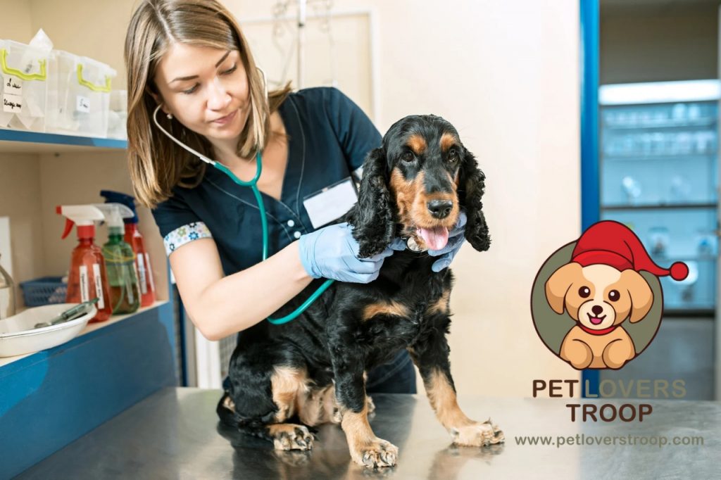 canine nutrition guidelines
