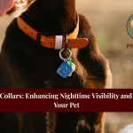 LED dog collars