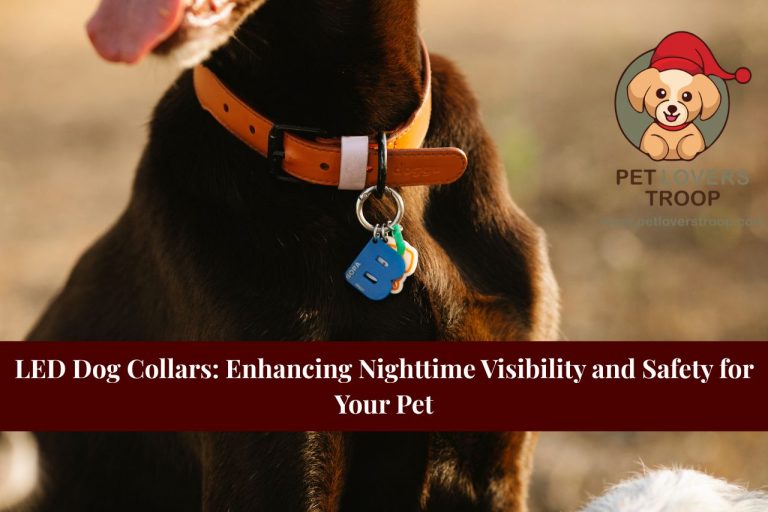 LED dog collars