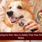 nail trimming for pets