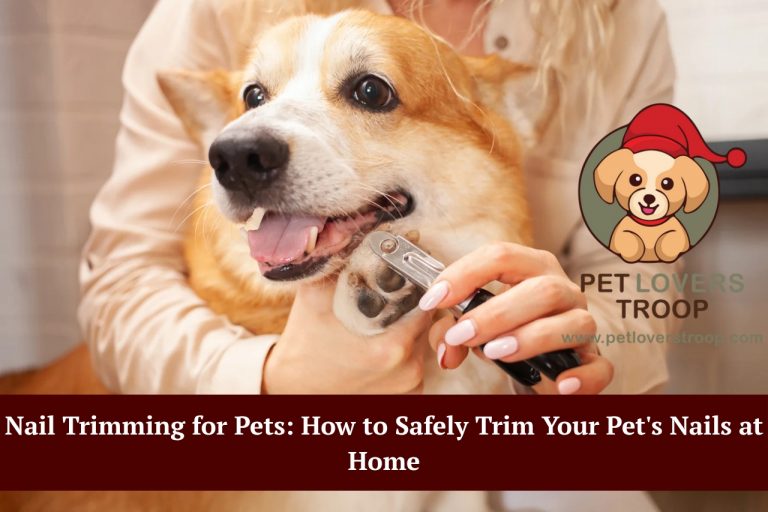 nail trimming for pets