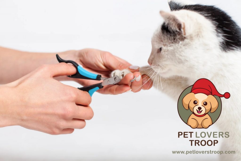 nail trimming for pets