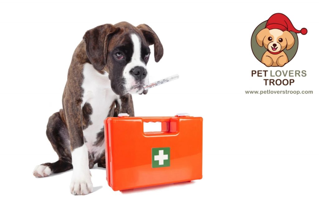 canine CPR techniques