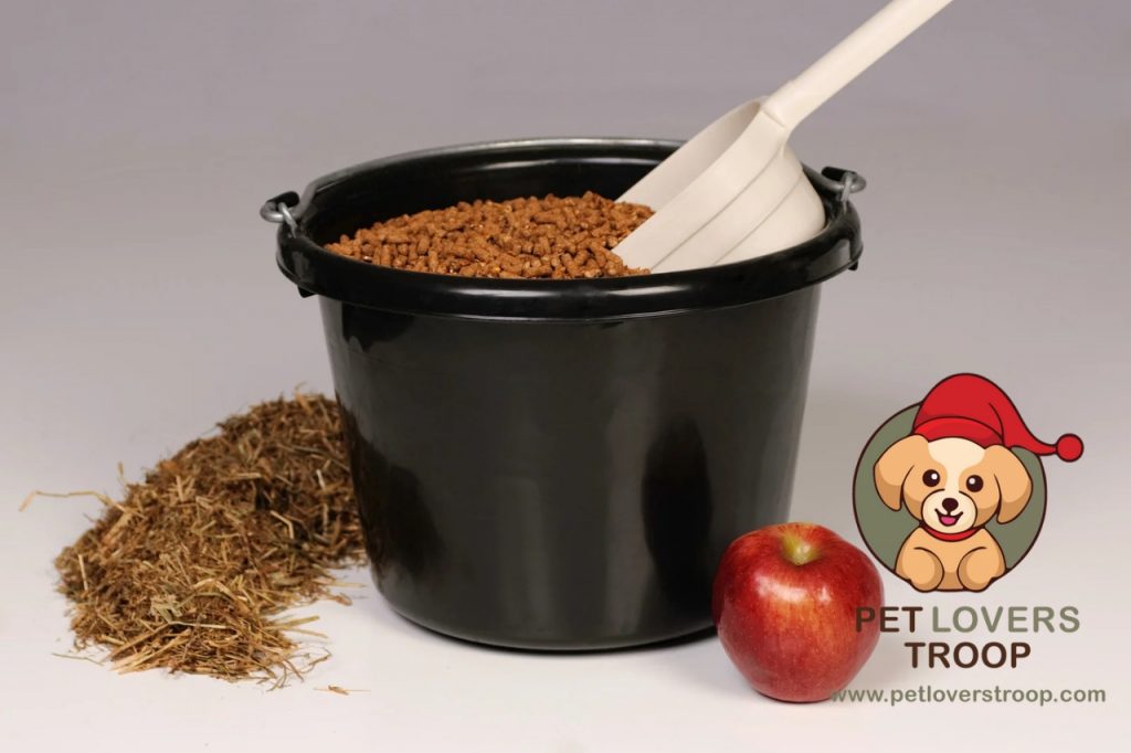 Non-structural carbohydrates in equine diets
