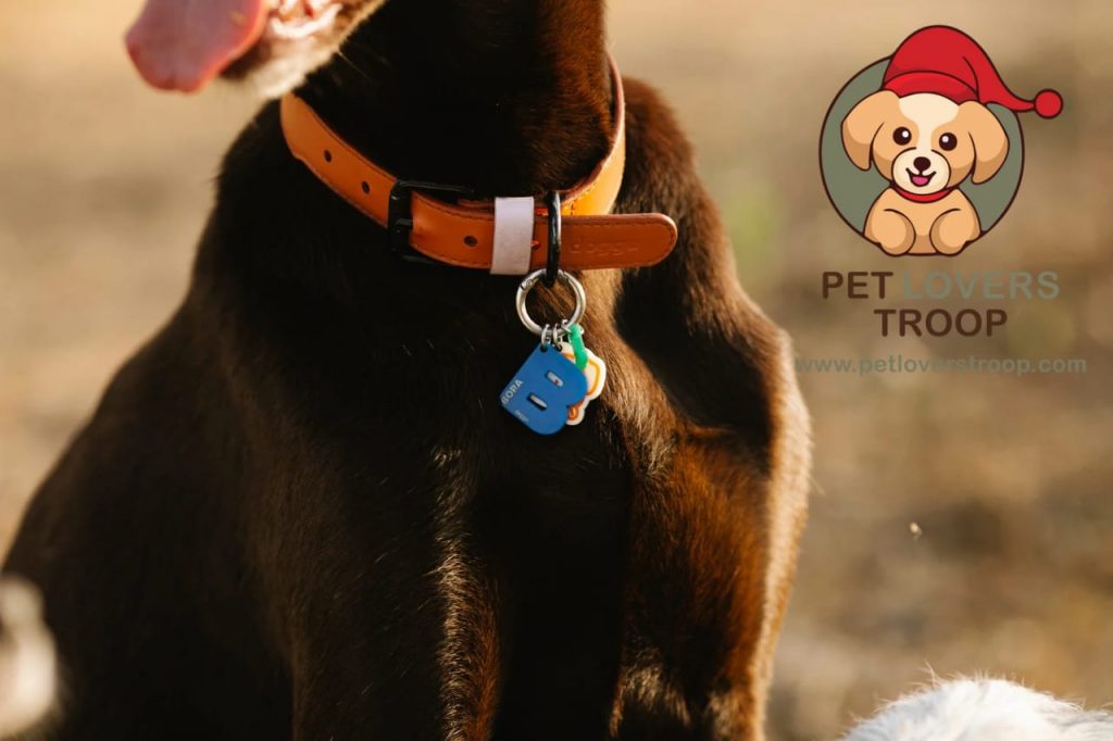 materials for dog collars