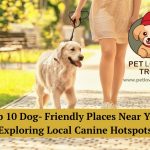 dog-friendly places near you