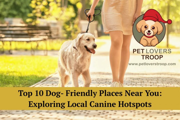 dog-friendly places near you