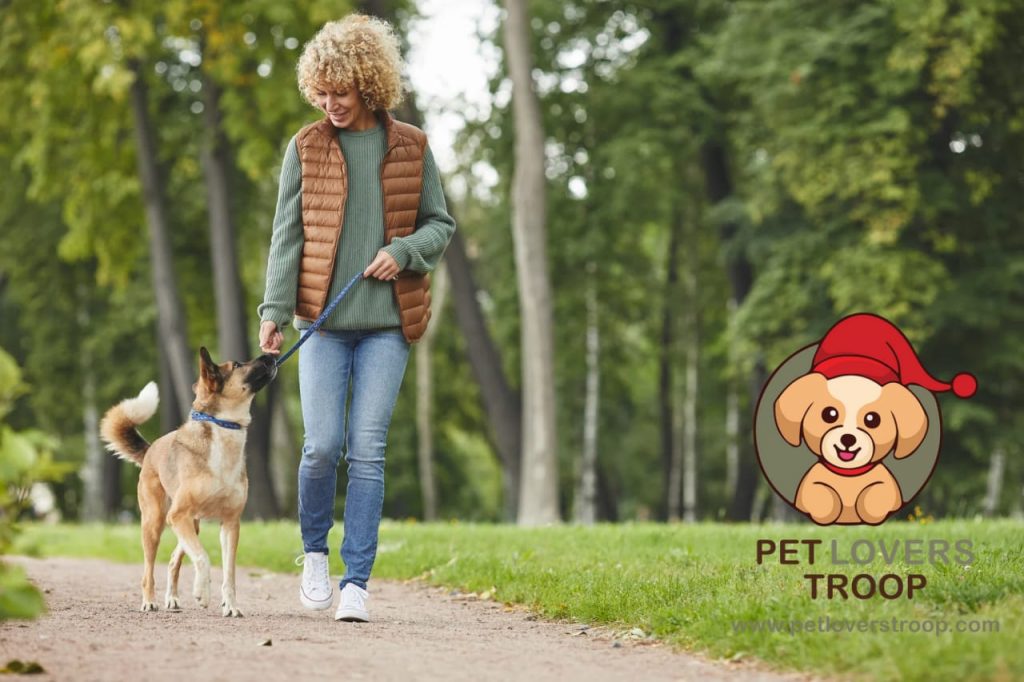 local dog parks