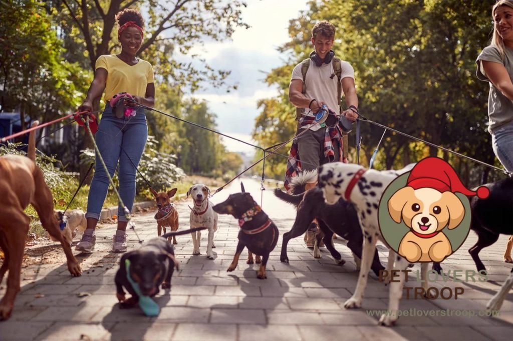 dog-friendly places near you