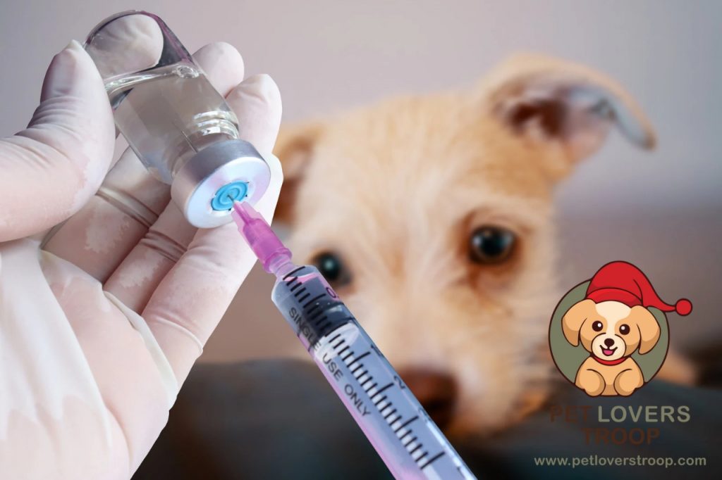 Core vs. non core pet vaccinations 